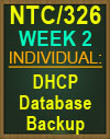 ntc/326 dhcp database backup